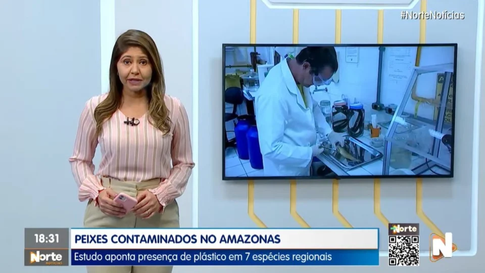 VÍDEO: assista à íntegra do Jornal Norte Notícias de 19 de julho