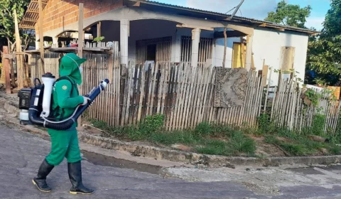 Boletim Dengue: AM tem 13.778 casos notificados e 9 mortes pela doença