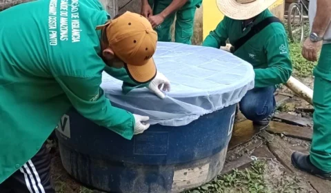 Em 7 meses, AM contabiliza 11,5 mil casos de dengue e seis mortes pela doença