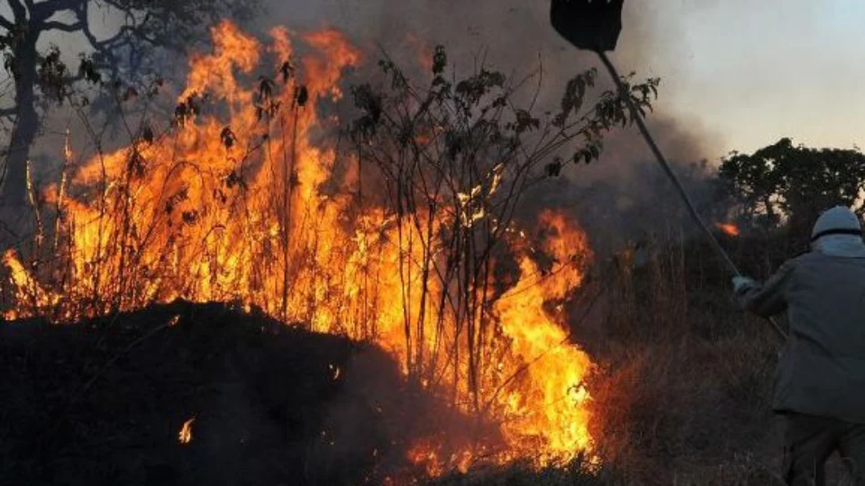 Monitor do Fogo aponta aumento de 96% de áreas queimadas em Roraima