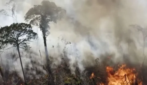 Acre registra redução no número de queimadas no primeiro semestre de 2023
