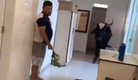 VÍDEO: boi dentro de posto de saúde assusta funcionários em MG