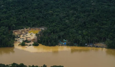 Terra Yanomami: garimpeiros foram mortos em suposto ataque Indígena em RR