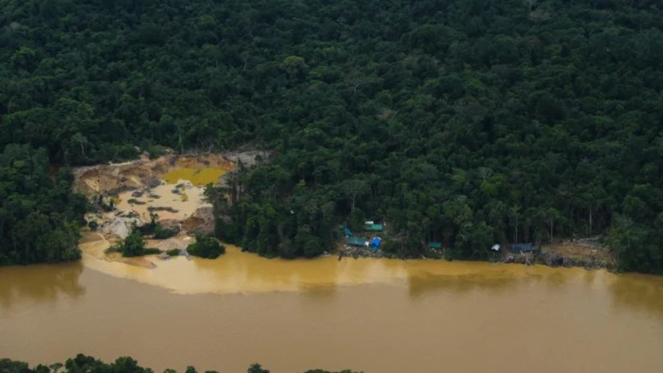 Terra Yanomami: garimpeiros foram mortos em suposto ataque Indígena em RR