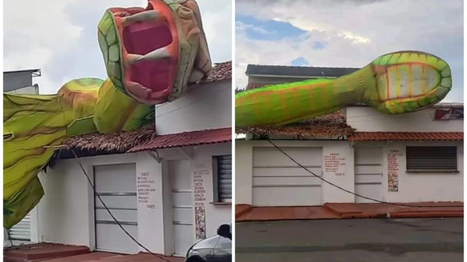 VÍDEO: alegoria do boi Garantido tomba sobre casa em Parintins-AM