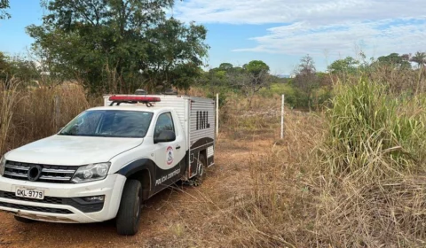 Suspeito de matar ex-mulher a facadas é encontrado morto em Palmas