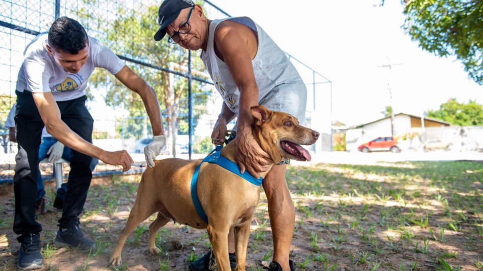Campanha de Vacinação Antirrábica inicia nesse sábado, 5, em Boa Vista