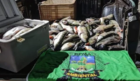 TO: 98kg de pescado ilegal são apreendidos pela PM na Ilha do Bananal