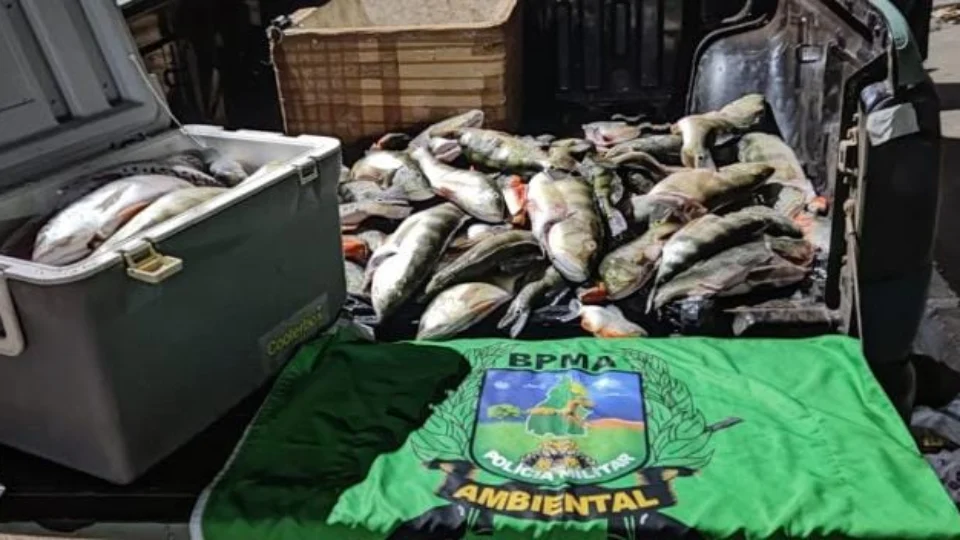 TO: 98kg de pescado ilegal são apreendidos pela PM na Ilha do Bananal
