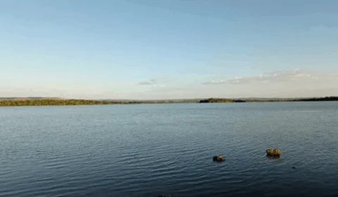 Corpo de homem de 37 anos que se afogou é encontrado no rio Tocantins