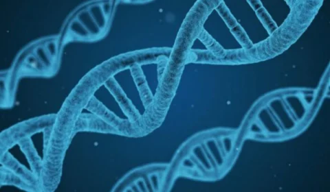 Tocantins se une à Rede Integrada de Bancos de Perfis Genéticos