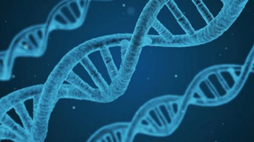 Tocantins se une à Rede Integrada de Bancos de Perfis Genéticos