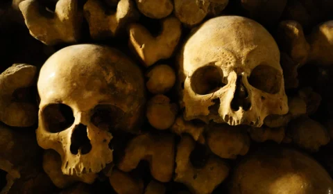 Cientistas descobrem crânio de hominídeo de linhagem humana desconhecida
