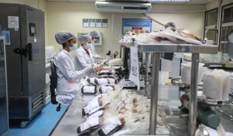 AM: doenças sanguíneas, câncer e cirurgias impulsionam demandas por transfusões