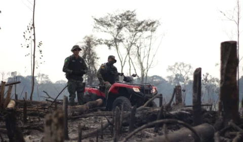 Força Nacional irá atuar no combate a incêndios florestais no AC