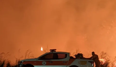 TO: Incêndio destrói cerca de 3 mil m² de área verde no centro de Palmas