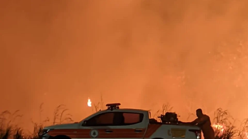 TO: Incêndio destrói cerca de 3 mil m² de área verde no centro de Palmas