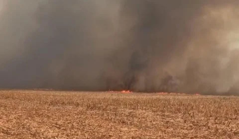TO: Incêndio de grande proporção atinge palhada em Porto Nacional