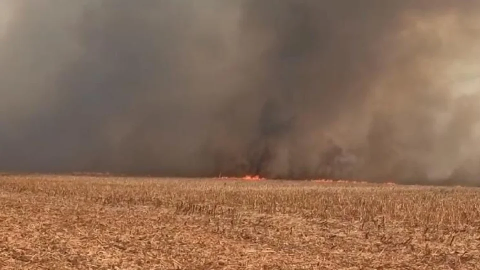 TO: Incêndio de grande proporção atinge palhada em Porto Nacional