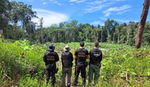 Operação Ya-Mirim combate crimes ambientais no Pico da Neblina no AM
