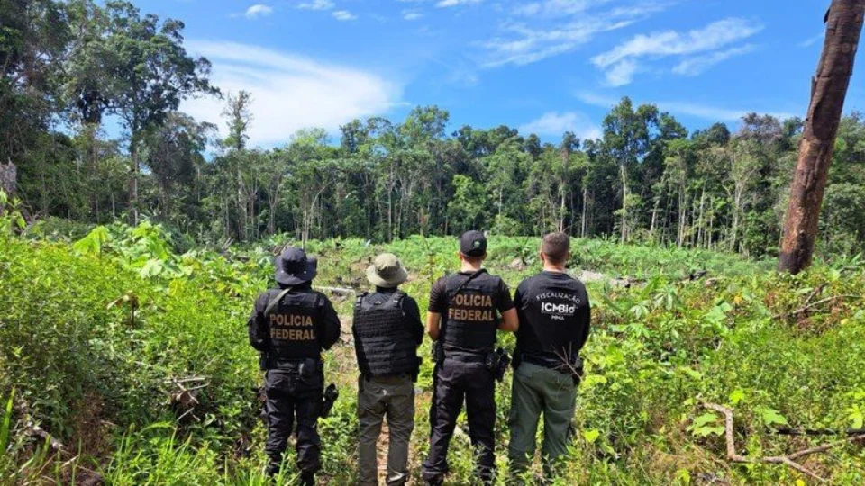 Operação Ya-Mirim combate crimes ambientais no Pico da Neblina no AM