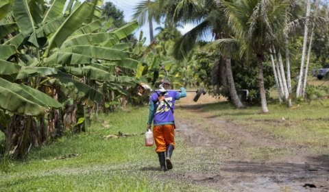 Prazo para enviar Declaração do Imposto Territorial Rural inicia nesta segunda