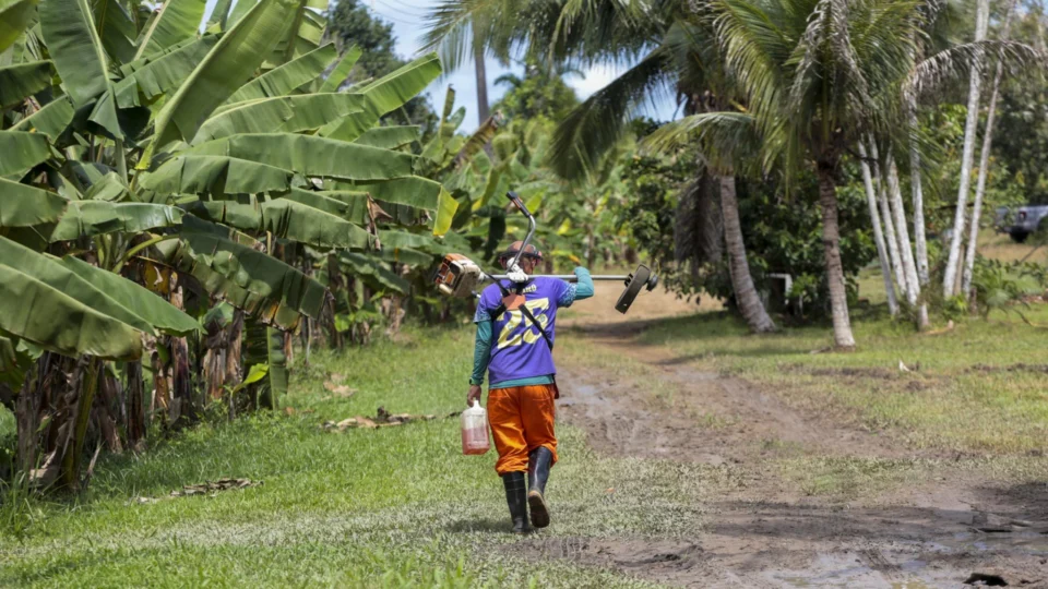 Prazo para enviar Declaração do Imposto Territorial Rural inicia nesta segunda