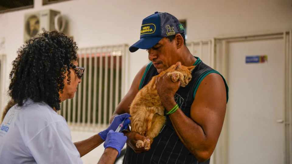 Campanha de vacinação antirrábica segue em 18 pontos em Boa Vista