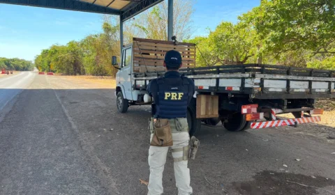 PRF apreende 3 veículos com registro de furto no fim de semana em Tocantins