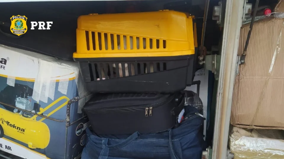 Homem é preso com drogas em viagem de ônibus de Tocantins para Maranhão