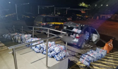 PRF apreende mais de 1 tonelada de alho contrabandeado, em RR