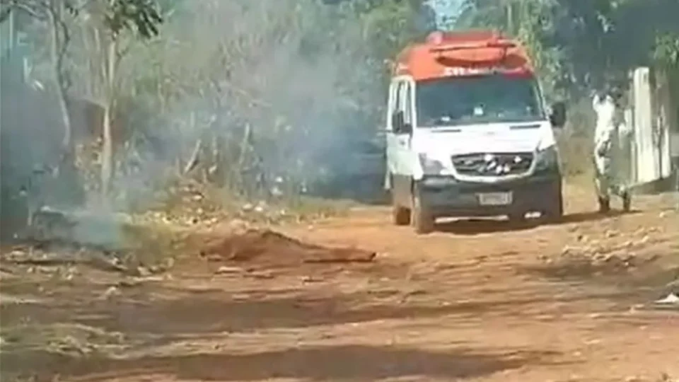 Idoso morre após ser atacado por abelhas no Mato Grosso