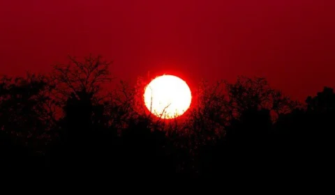 Estudo diz que cidades do Brasil terão até 258 dias de calor extremo