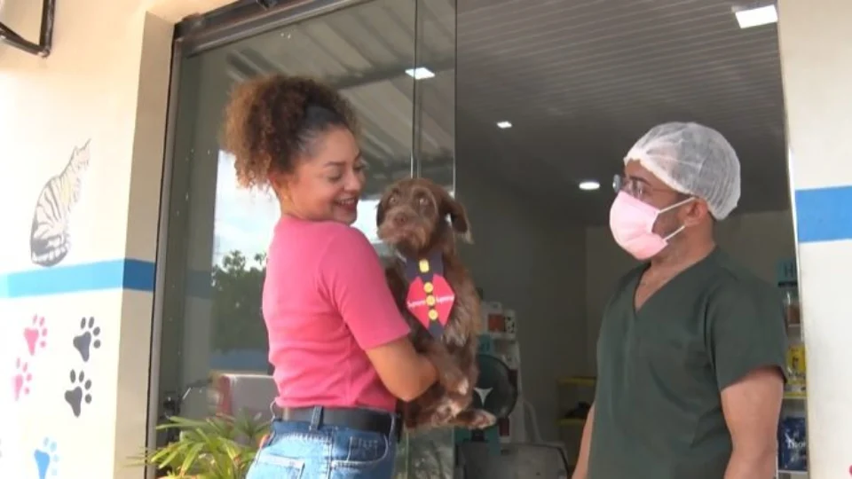 VÍDEO: Especialista de RR ensinam cuidados essenciais com animal de estimação