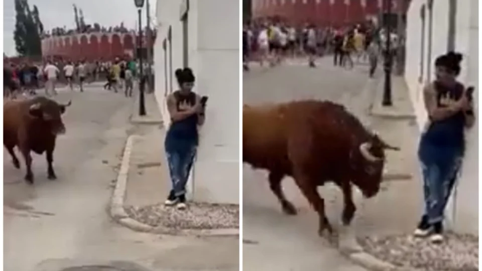 VÍDEO: mulher ‘distraída’ é atacada por touro durante evento em Madrid-ES