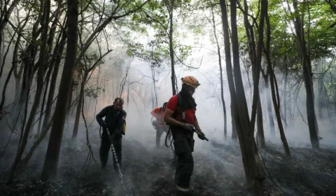 Governo reforça equipe de brigadistas para combater queimadas no AM