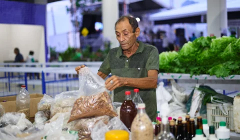 Microempresários e ambulantes movimentam R$ 25,5 milhões na economia do TO