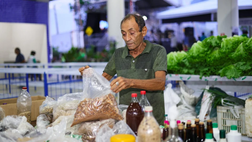 Microempresários e ambulantes movimentam R$ 25,5 milhões na economia do TO