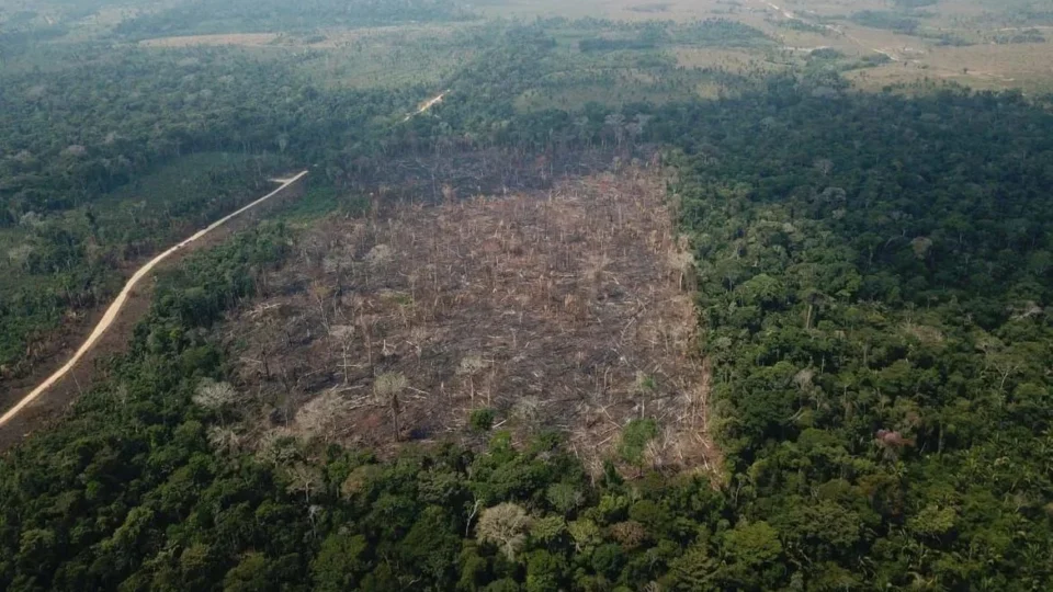 AGU cobra R$ 292 mi de infrator ambiental por danos climáticos na Amazônia