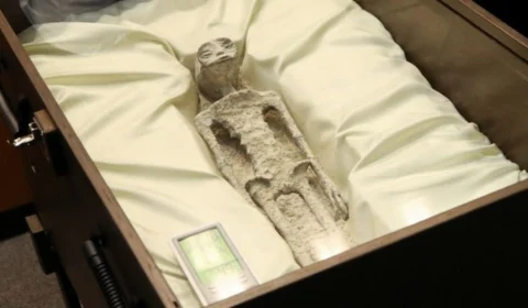 Vídeo: supostos corpos de ‘aliens’ são mostrados na Câmara dos Deputados do México