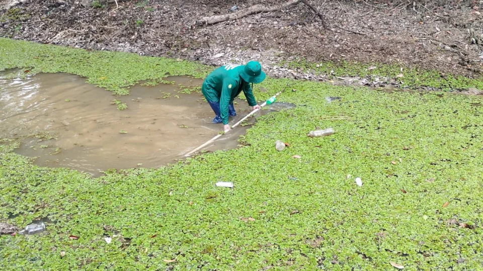 Amazonas registra queda de apenas 5,6% em casos de malária em 2023