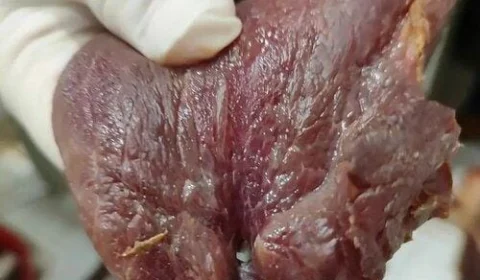 TO: fiscalização apreende mais de uma tonelada de carnes podres em Guaraí