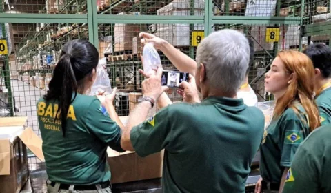 Cabeça de babuíno e bile de urso são apreendidas no Aeroporto de Guarulhos