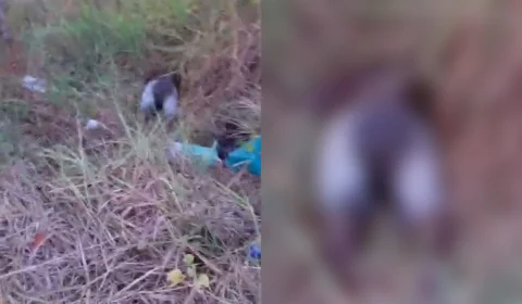 Corpo de homem é encontrado em decomposição próximo à avenida de Manaus