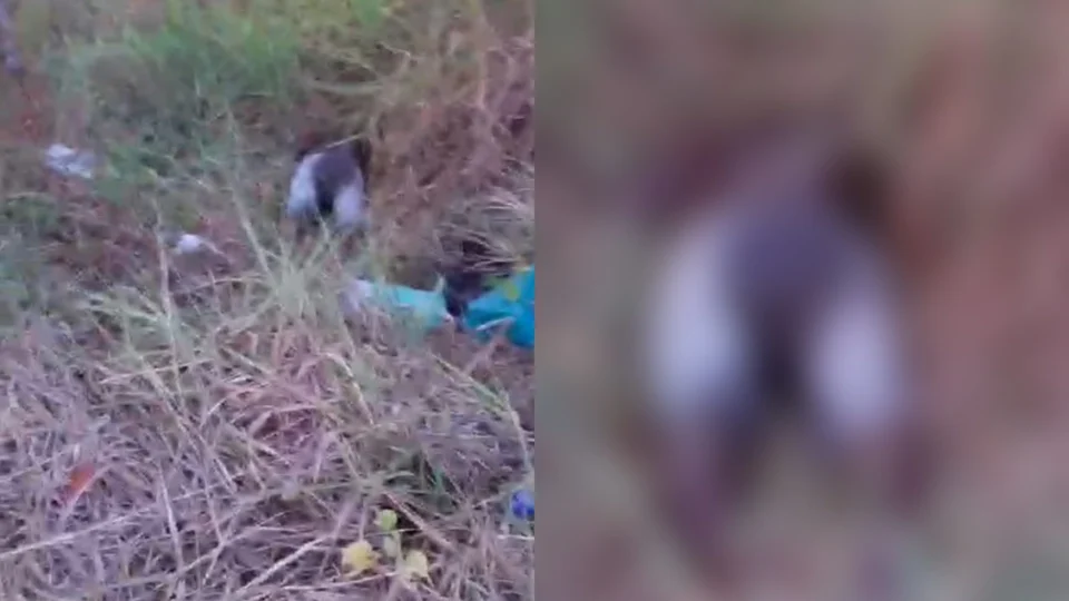 Corpo de homem é encontrado em decomposição próximo à avenida de Manaus