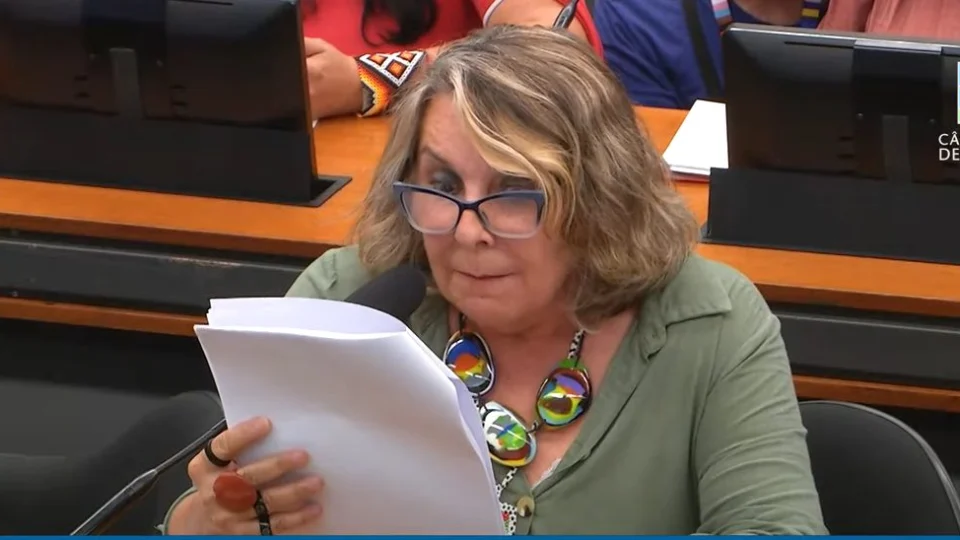 VÍDEO: Comissão da Câmara vota PL contra casamento homoafetivo