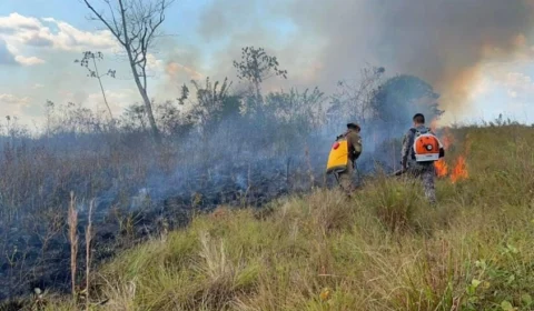 Cerca de 60 focos de queimada no interior do AM causam fumaça em Manaus