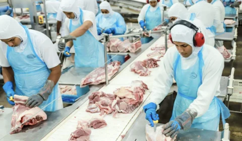 VÍDEO: frigorífico acreano é destaque na exportação de carne suína