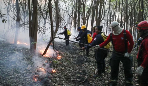 Corpo de Bombeiros monta força-tarefa para combater incêndio no Iranduba-AM