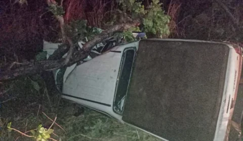 TO: grávida morre em acidente após caminhonete bater em árvore na BR-226